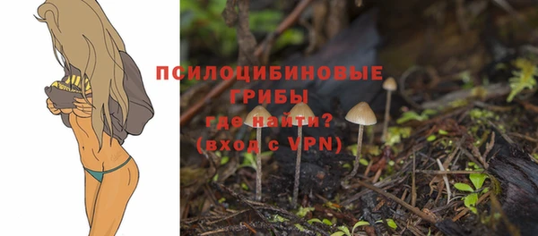 бутират Чекалин
