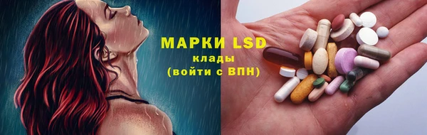 эйфоретик Чегем