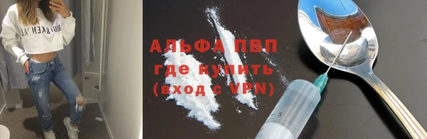 эйфоретик Чегем