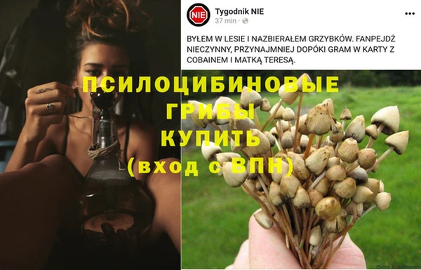 герыч Чердынь
