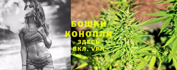 эйфоретик Чегем