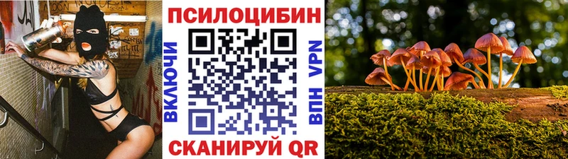 Галлюциногенные грибы GOLDEN TEACHER  продажа наркотиков  Хабаровск 
