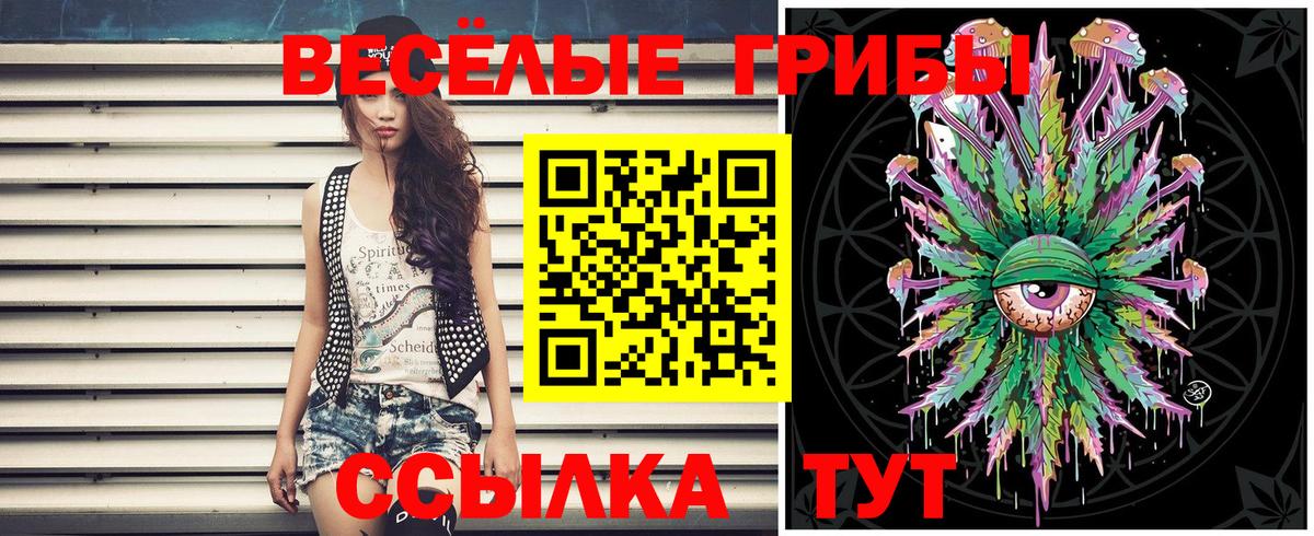 Галлюциногенные грибы Cubensis Хабаровск