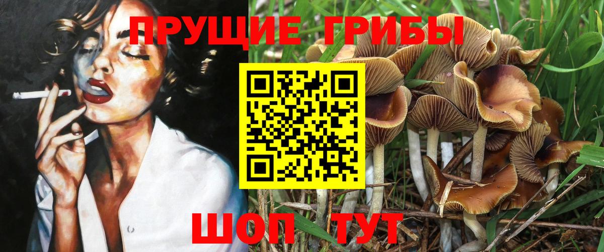 Хабаровск  Псилоцибиновые грибы мицелий  Вход с VPN 