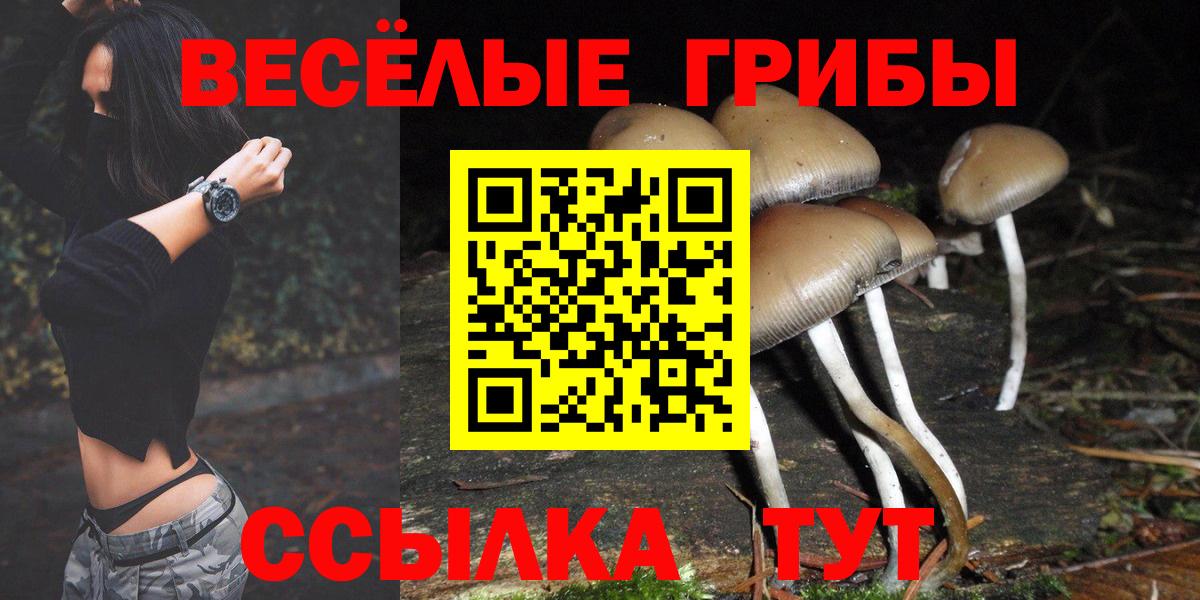 магазин  наркотиков  Хабаровск  Галлюциногенные грибы Psilocybine cubensis 